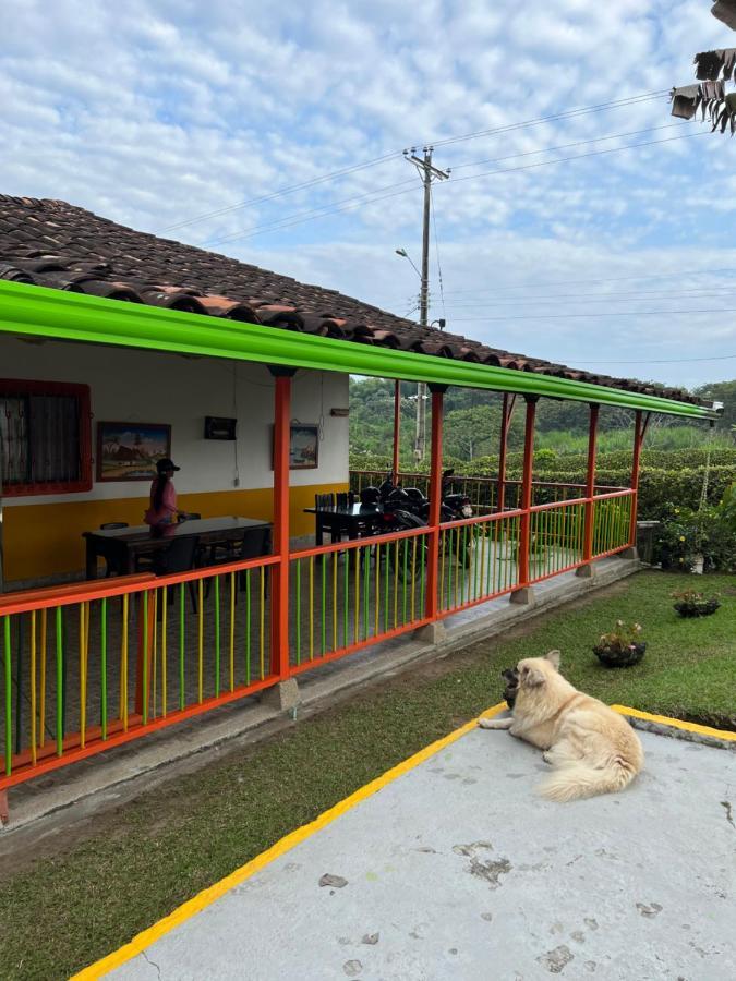 Alojamiento Campestre Hawaii Montenegro Buitenkant foto
